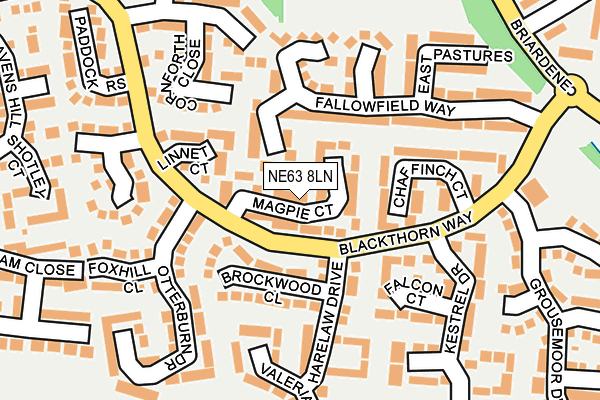 NE63 8LN map - OS OpenMap – Local (Ordnance Survey)