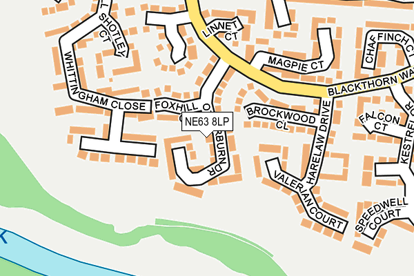 NE63 8LP map - OS OpenMap – Local (Ordnance Survey)