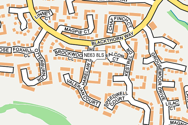 NE63 8LS map - OS OpenMap – Local (Ordnance Survey)