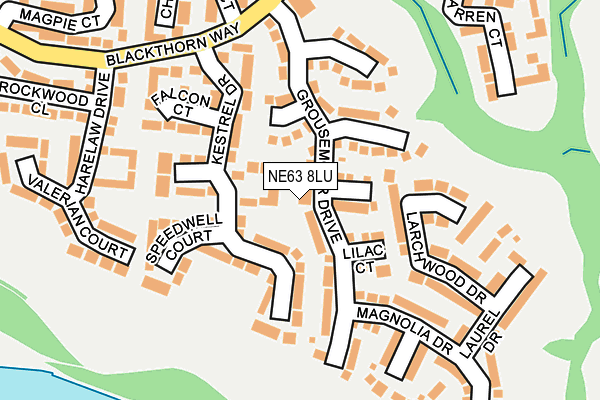 NE63 8LU map - OS OpenMap – Local (Ordnance Survey)