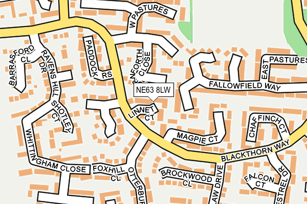 NE63 8LW map - OS OpenMap – Local (Ordnance Survey)