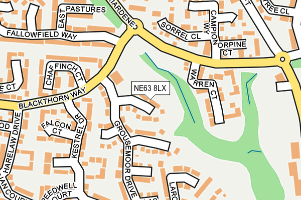 NE63 8LX map - OS OpenMap – Local (Ordnance Survey)