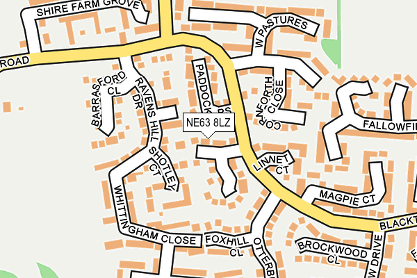NE63 8LZ map - OS OpenMap – Local (Ordnance Survey)