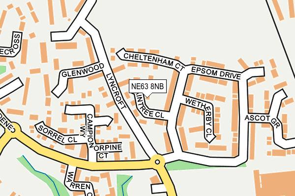 NE63 8NB map - OS OpenMap – Local (Ordnance Survey)