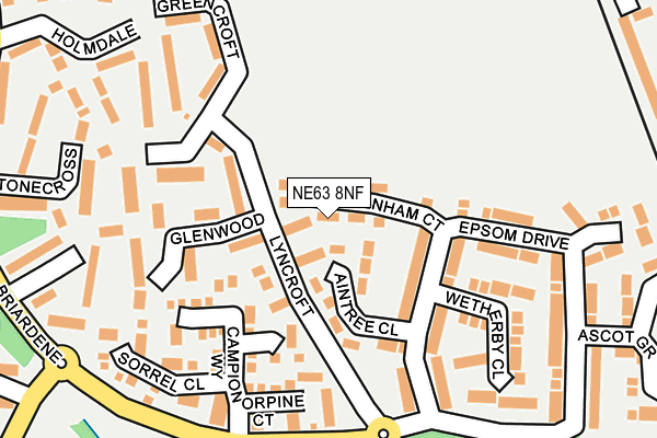 NE63 8NF map - OS OpenMap – Local (Ordnance Survey)