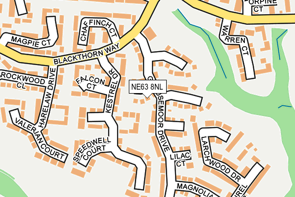 NE63 8NL map - OS OpenMap – Local (Ordnance Survey)