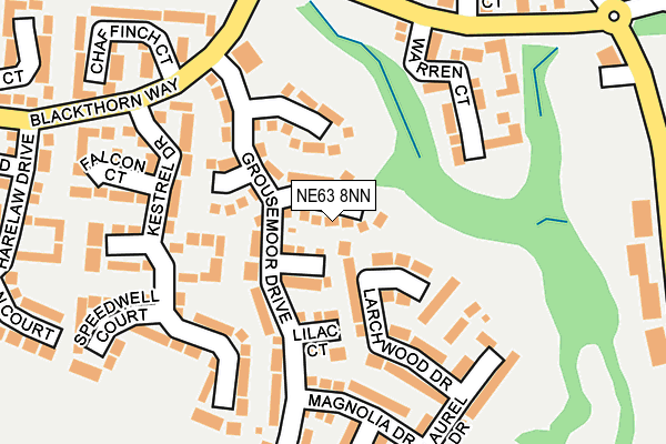 NE63 8NN map - OS OpenMap – Local (Ordnance Survey)