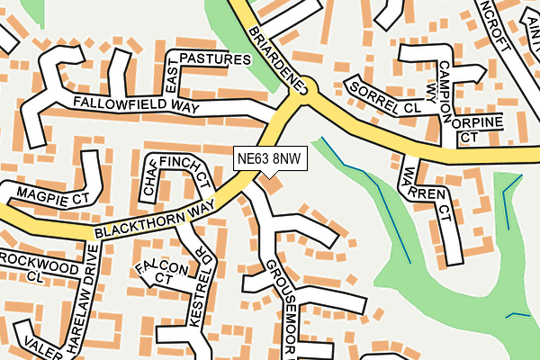 NE63 8NW map - OS OpenMap – Local (Ordnance Survey)