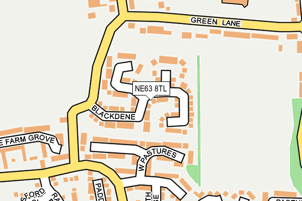 NE63 8TL map - OS OpenMap – Local (Ordnance Survey)