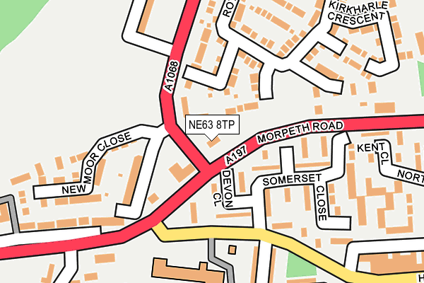 NE63 8TP map - OS OpenMap – Local (Ordnance Survey)