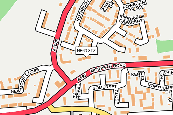 NE63 8TZ map - OS OpenMap – Local (Ordnance Survey)
