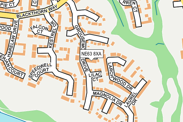NE63 8XA map - OS OpenMap – Local (Ordnance Survey)