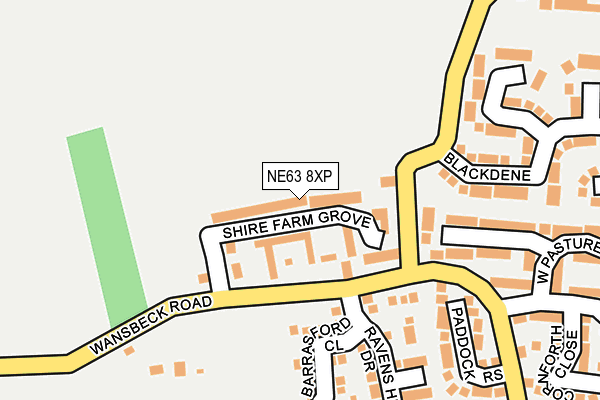 NE63 8XP map - OS OpenMap – Local (Ordnance Survey)