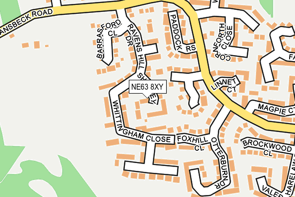 NE63 8XY map - OS OpenMap – Local (Ordnance Survey)