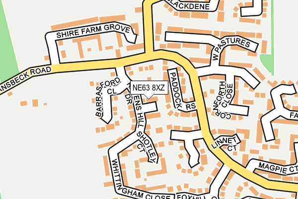 NE63 8XZ map - OS OpenMap – Local (Ordnance Survey)