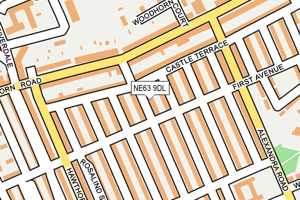NE63 9DL map - OS OpenMap – Local (Ordnance Survey)