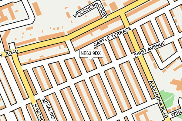 NE63 9DX map - OS OpenMap – Local (Ordnance Survey)