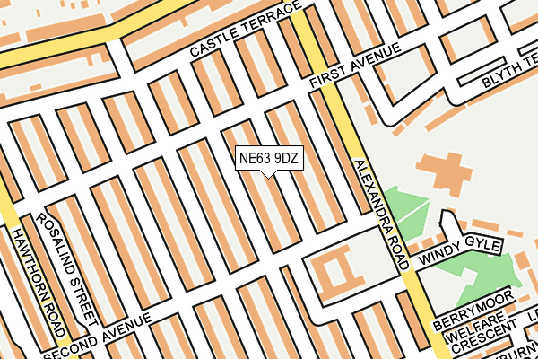 NE63 9DZ map - OS OpenMap – Local (Ordnance Survey)