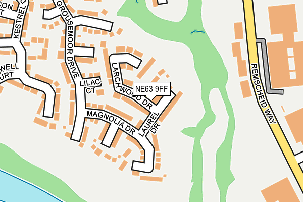 NE63 9FF map - OS OpenMap – Local (Ordnance Survey)