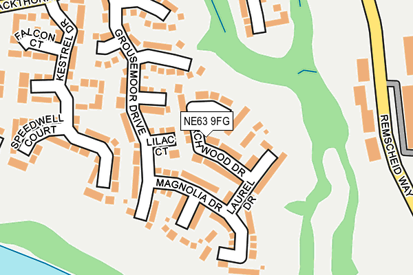 NE63 9FG map - OS OpenMap – Local (Ordnance Survey)