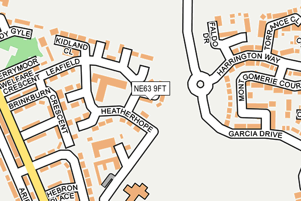 NE63 9FT map - OS OpenMap – Local (Ordnance Survey)