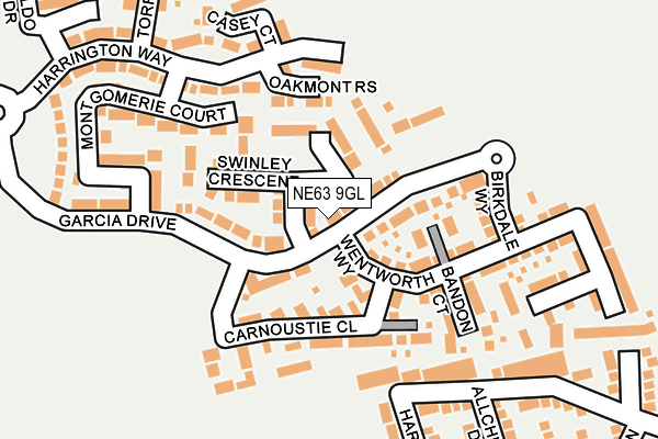 NE63 9GL map - OS OpenMap – Local (Ordnance Survey)