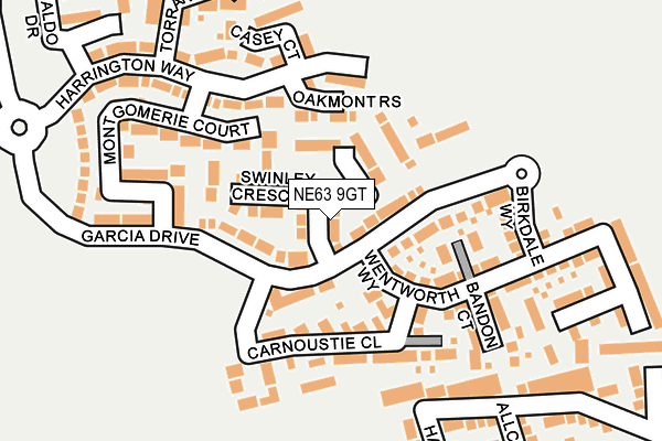 NE63 9GT map - OS OpenMap – Local (Ordnance Survey)