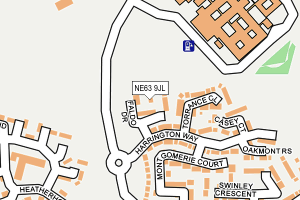 NE63 9JL map - OS OpenMap – Local (Ordnance Survey)