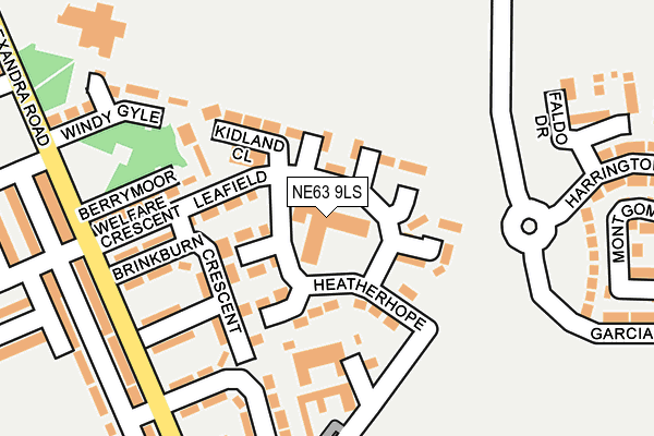 NE63 9LS map - OS OpenMap – Local (Ordnance Survey)