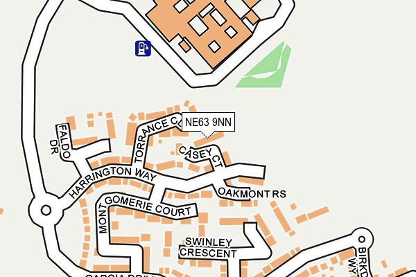 NE63 9NN map - OS OpenMap – Local (Ordnance Survey)