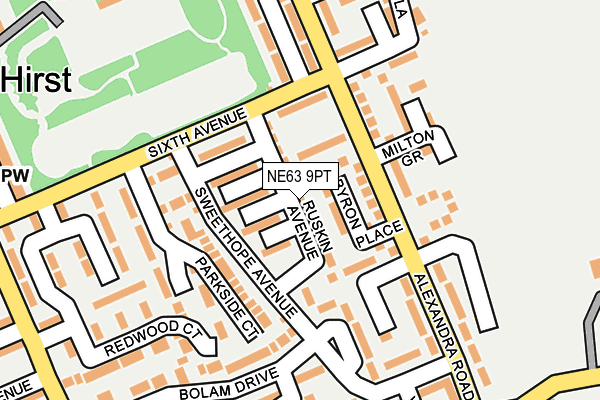 NE63 9PT map - OS OpenMap – Local (Ordnance Survey)