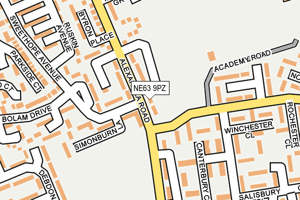 NE63 9PZ map - OS OpenMap – Local (Ordnance Survey)