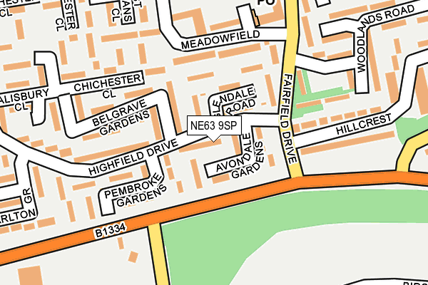 NE63 9SP map - OS OpenMap – Local (Ordnance Survey)
