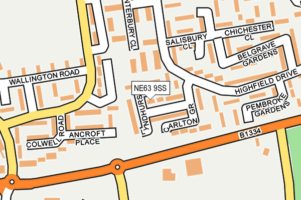 NE63 9SS map - OS OpenMap – Local (Ordnance Survey)