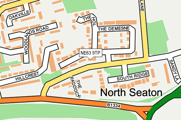 NE63 9TP map - OS OpenMap – Local (Ordnance Survey)