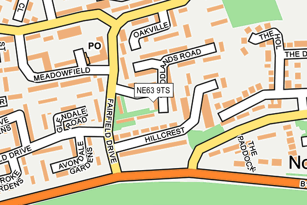 NE63 9TS map - OS OpenMap – Local (Ordnance Survey)