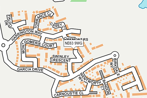 NE63 9WG map - OS OpenMap – Local (Ordnance Survey)