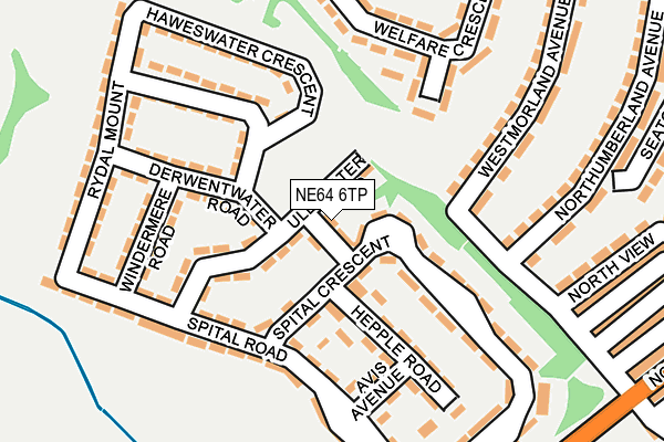 NE64 6TP map - OS OpenMap – Local (Ordnance Survey)