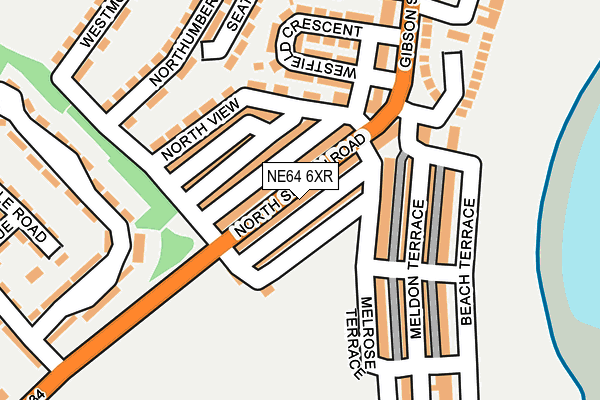 NE64 6XR map - OS OpenMap – Local (Ordnance Survey)