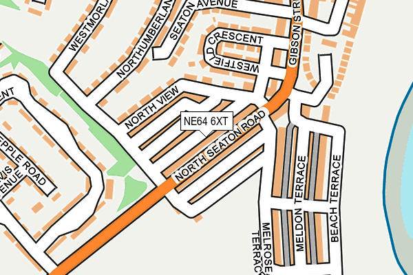 NE64 6XT map - OS OpenMap – Local (Ordnance Survey)