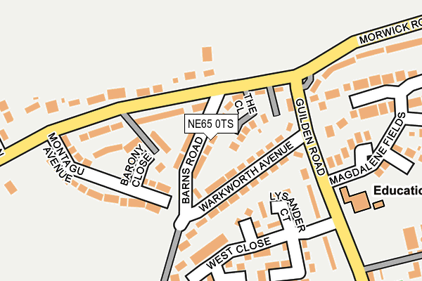 NE65 0TS map - OS OpenMap – Local (Ordnance Survey)