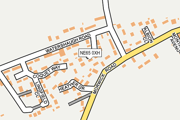 NE65 0XH map - OS OpenMap – Local (Ordnance Survey)