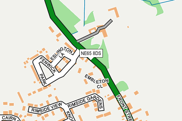 NE65 8DS map - OS OpenMap – Local (Ordnance Survey)
