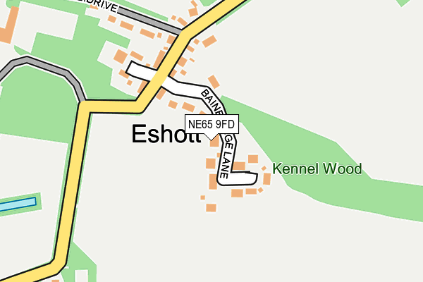 NE65 9FD map - OS OpenMap – Local (Ordnance Survey)