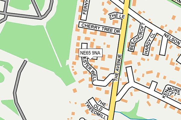 NE65 9NA map - OS OpenMap – Local (Ordnance Survey)