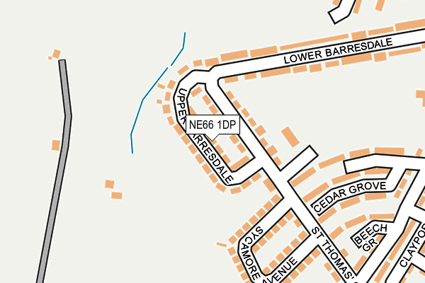 NE66 1DP map - OS OpenMap – Local (Ordnance Survey)