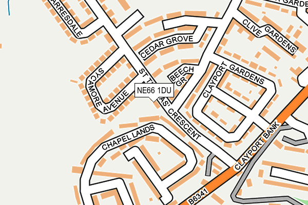 NE66 1DU map - OS OpenMap – Local (Ordnance Survey)