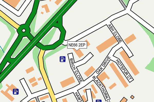 NE66 2EP map - OS OpenMap – Local (Ordnance Survey)