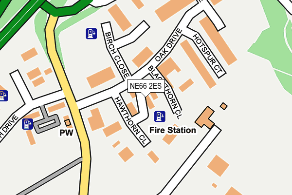 NE66 2ES map - OS OpenMap – Local (Ordnance Survey)