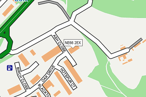 NE66 2EX map - OS OpenMap – Local (Ordnance Survey)